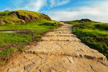 Similar image 7901640