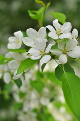 Similar image 7901645