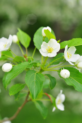 Similar image 7901648