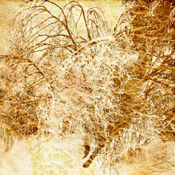 Similar image 7902142