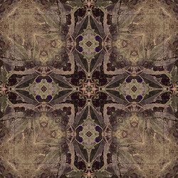 Similar image 7902148