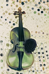 Similar image 7902423