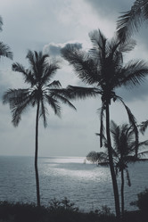 Similar image 7902431