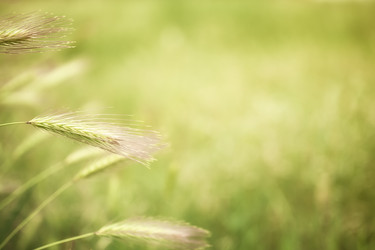 Similar image 7902438