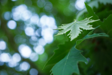 Similar image 7902441