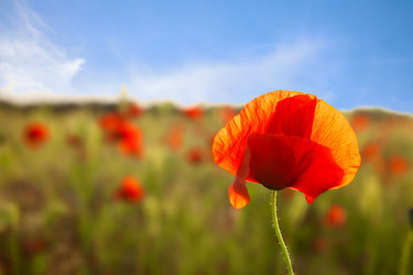 Similar image 7902442