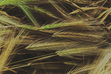 Similar image 7902446