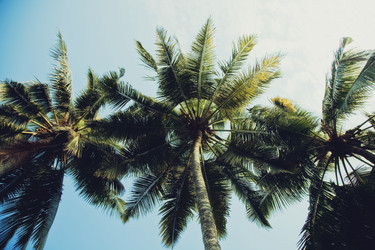 Similar image 7902447