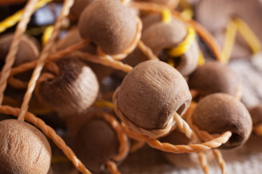 Similar image 7902454