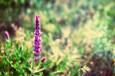 Similar image 7902490