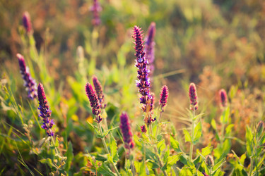 Similar image 7902493