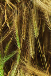 Similar image 7902497