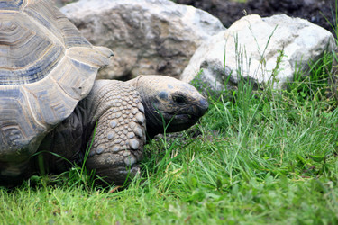 Similar image 7902509