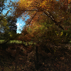 Similar image 7902538