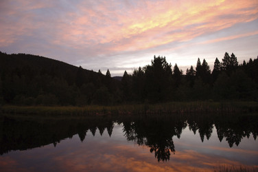 Similar image 7902541