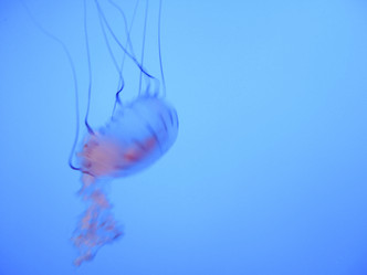 Similar image 7902549