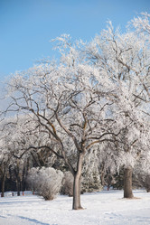 Similar image 7902571