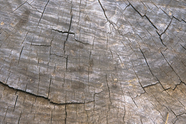 Similar image 7902580