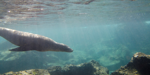 Similar image 7902582