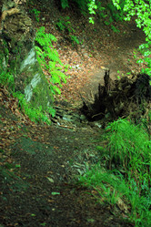 Similar image 7902584