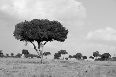 Similar image 7902592