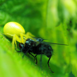 Similar image 7902605