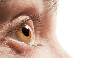 Similar image 7902650