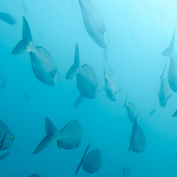 Similar image 7902753