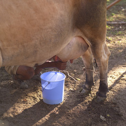 Similar image 7902758