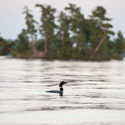 Similar image 7902759