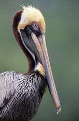 Similar image 7902767