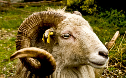 Similar image 7902773