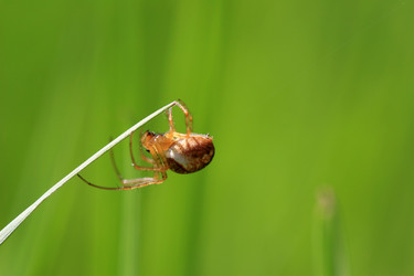 Similar image 7902782