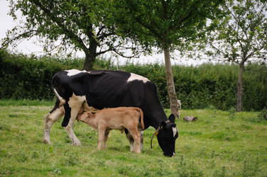 Similar image 7902791