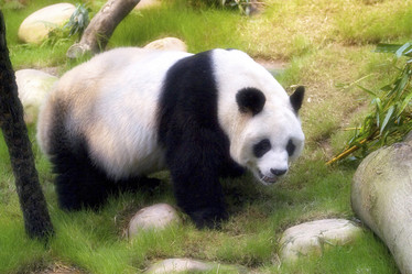 Similar image 7902796