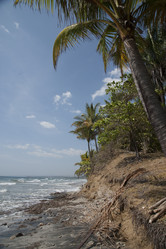 Similar image 7902802