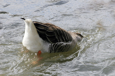 Similar image 7902809