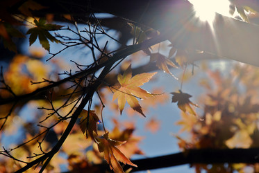 Similar image 7902821