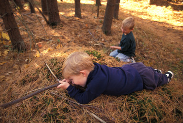 Similar image 7902834