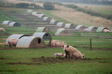 Similar image 7902837