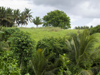 Similar image 7902841