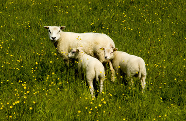 Similar image 7902845