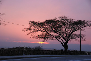 Similar image 7902853