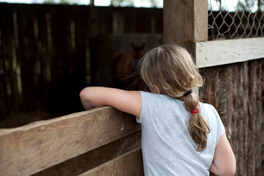 Similar image 7902854