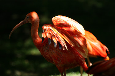 Similar image 7902855