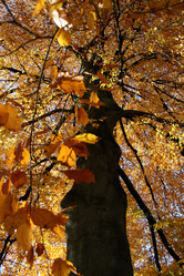 Similar image 7902857