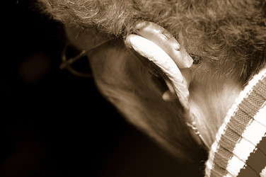 Similar image 7902870