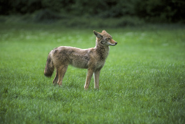 Similar image 7902896