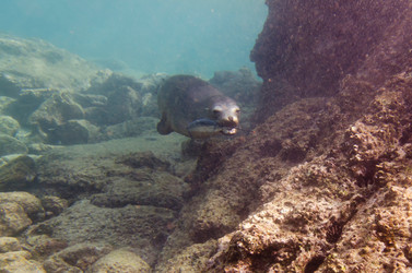 Similar image 7902901