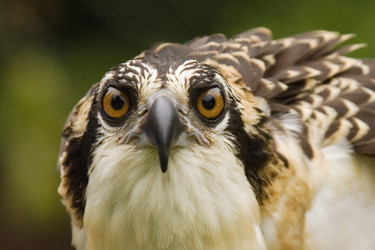 Similar image 7902904